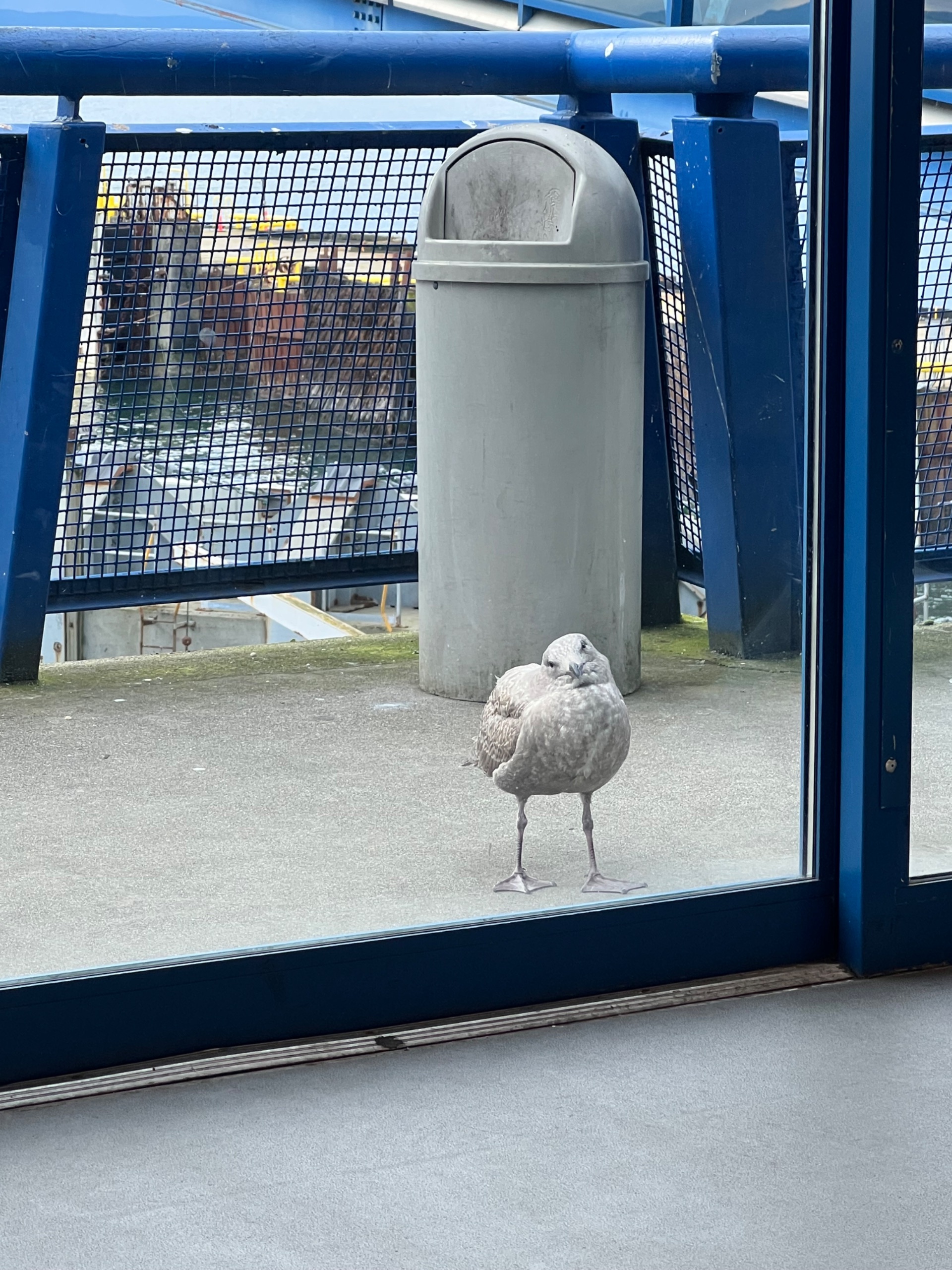 IMG_6400